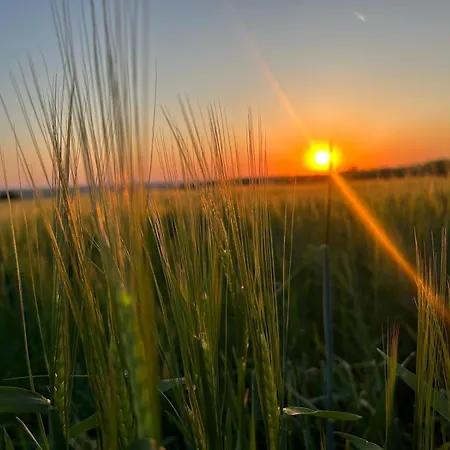 Rum i privatbostad Gaestezimmer In Laendlicher Gegend Vabel