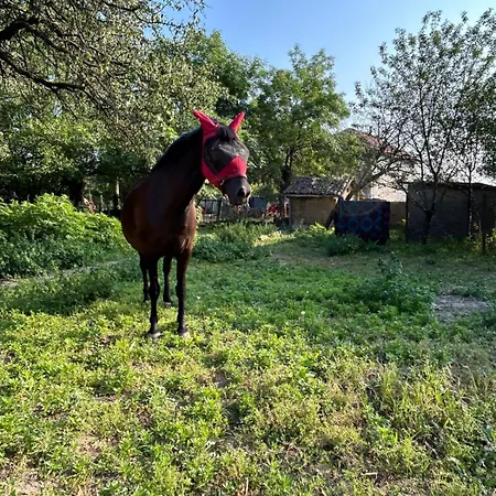 Gaestezimmer In Laendlicher Gegend Vabel