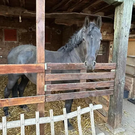 Gaestezimmer In Laendlicher Gegend