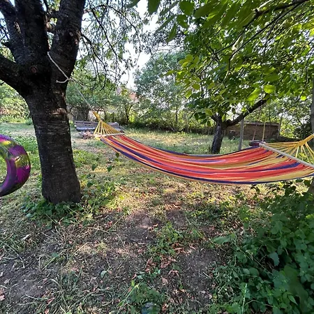 Gaestezimmer In Laendlicher Gegend