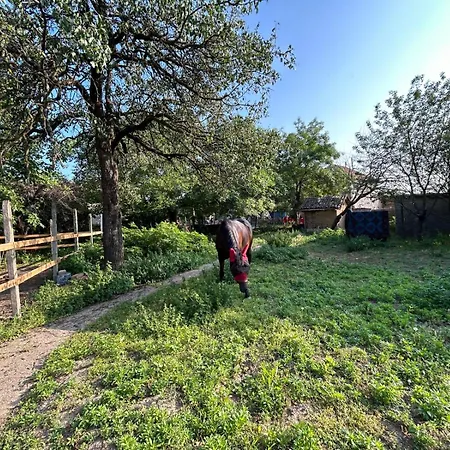 Gaestezimmer In Laendlicher Gegend * Vabel