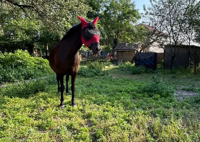 Gaestezimmer In Laendlicher Gegend Vabel