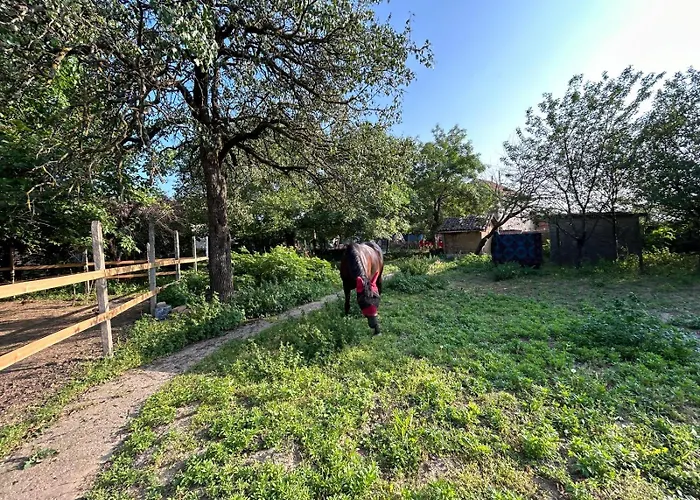 Gaestezimmer In Laendlicher Gegend * Vabel